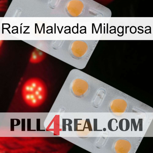 Raíz Malvada Milagrosa 25.jpg